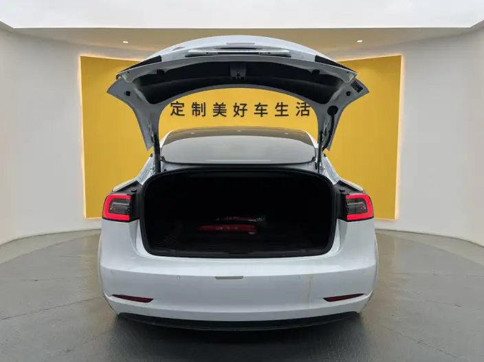 Model 3 2021 Model Standard Battery Life Rear Drive L Class Edition 3D1 – фото 11