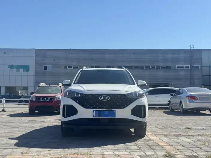 Hyundai ix35 2021 Model 2.0L Automatic 2WD Leading version GLS – фото 2