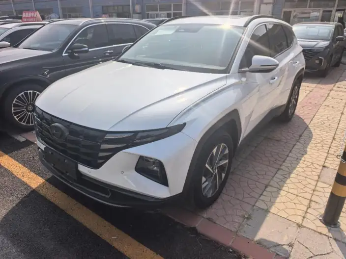 Hyundai Tucson 2022 Model Hyundai Tucson L 2.0L HEV LUX Hybrid · Premium Edition – фото 1