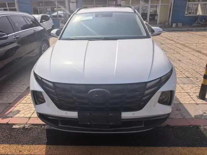 Hyundai Tucson 2022 Model Hyundai Tucson L 2.0L HEV LUX Hybrid · Premium Edition – фото 2