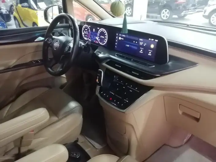 Buick GL8 2020 Model ES Luzun 653T Exclusive Model – фото 10