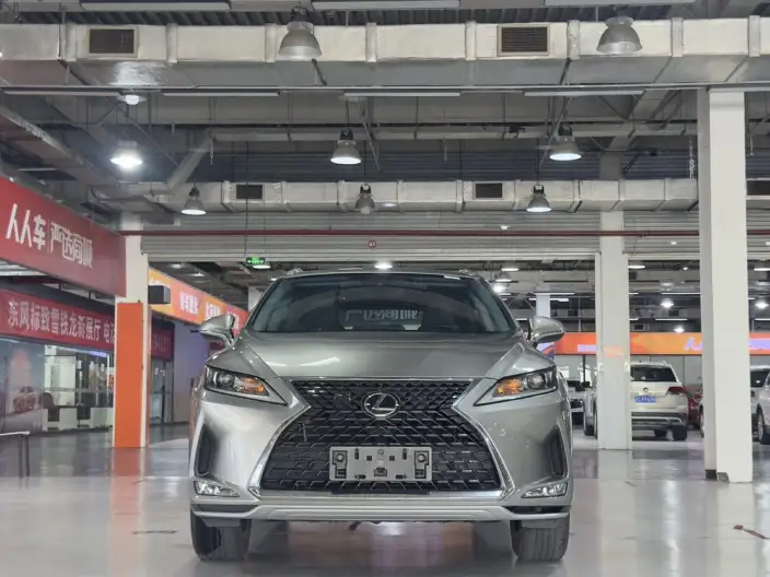 Lexus RX 2020 Model 300 2WD Comfort Edition China VI – фото 2