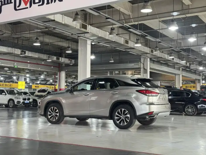 Lexus RX 2020 Model 300 2WD Comfort Edition China VI – фото 4