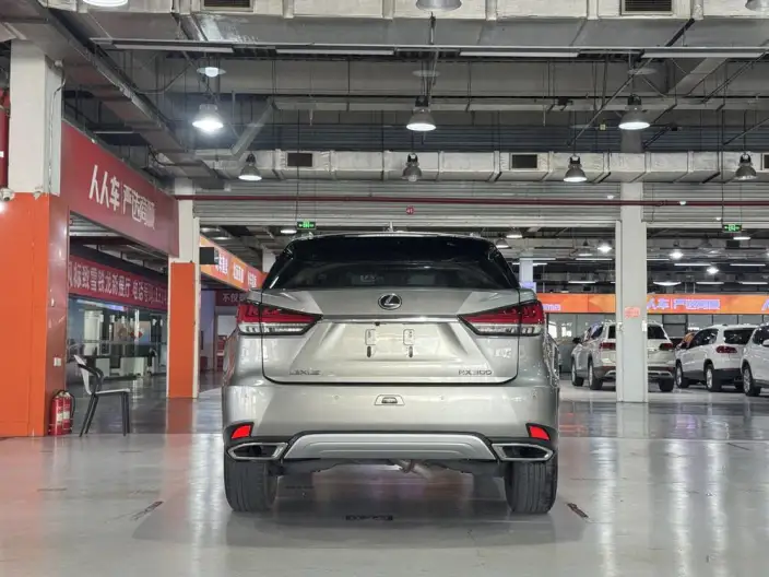 Lexus RX 2020 Model 300 2WD Comfort Edition China VI – фото 5