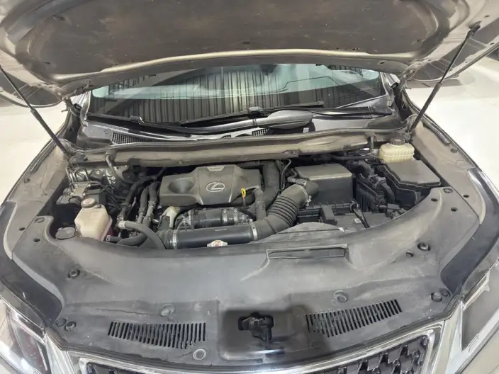 Lexus RX 2020 Model 300 2WD Comfort Edition China VI – фото 7