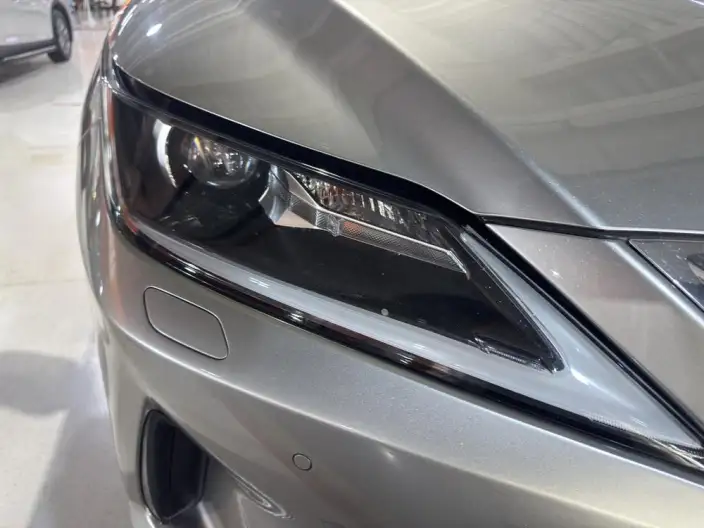 Lexus RX 2020 Model 300 2WD Comfort Edition China VI – фото 11
