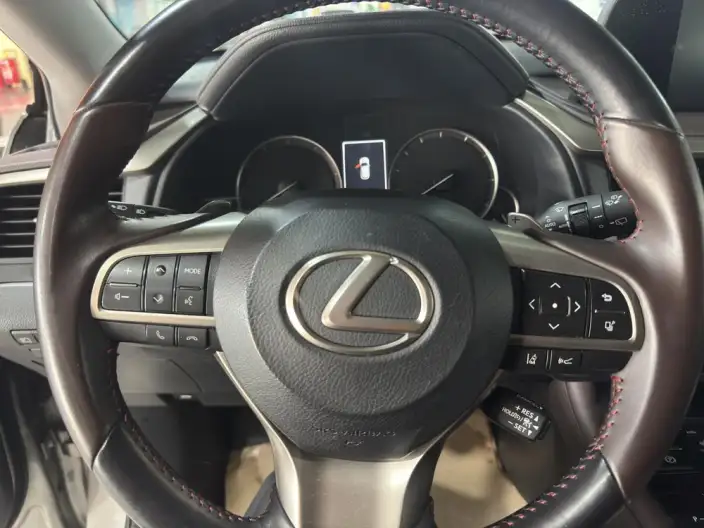 Lexus RX 2020 Model 300 2WD Comfort Edition China VI – фото 16