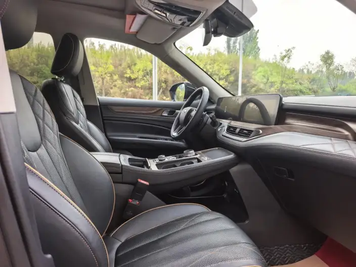 Lingyu 2021 Model EcoBoost 225 7 seat Zun Ling Model Plus – фото 17