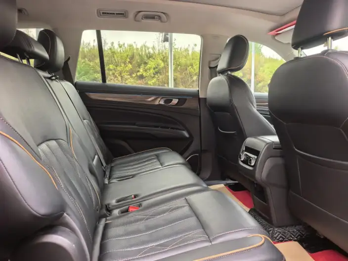 Lingyu 2021 Model EcoBoost 225 7 seat Zun Ling Model Plus – фото 21