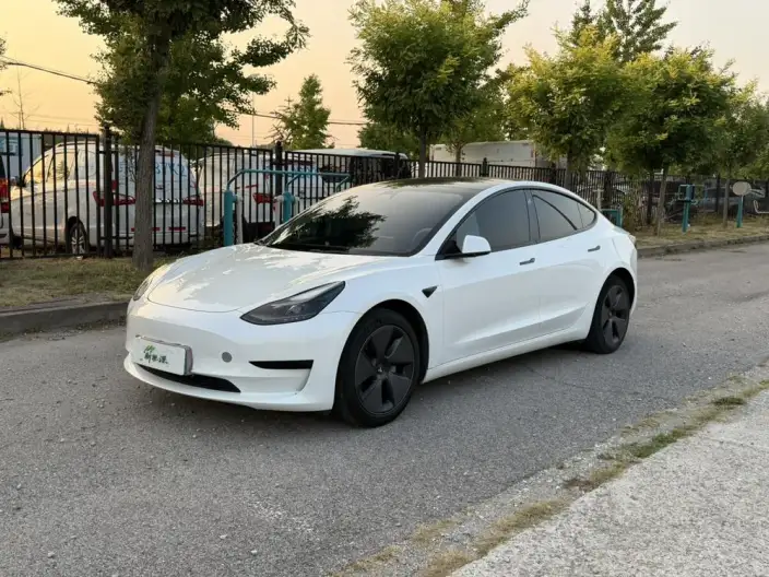 Model 3 2021 Model Standard Battery Life Rear Drive L Class Edition – фото 1