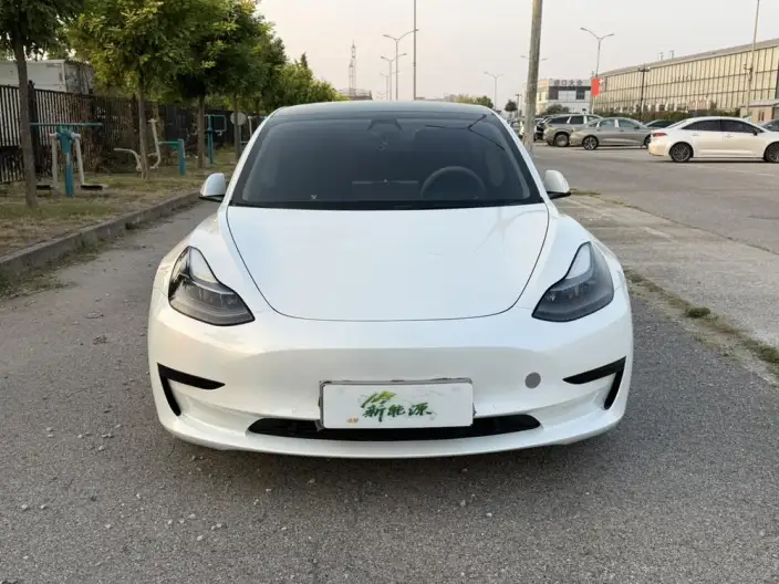 Model 3 2021 Model Standard Battery Life Rear Drive L Class Edition – фото 2