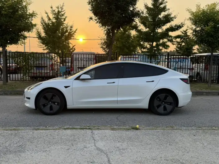Model 3 2021 Model Standard Battery Life Rear Drive L Class Edition – фото 3