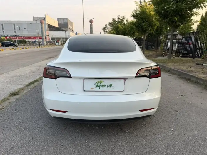 Model 3 2021 Model Standard Battery Life Rear Drive L Class Edition – фото 4