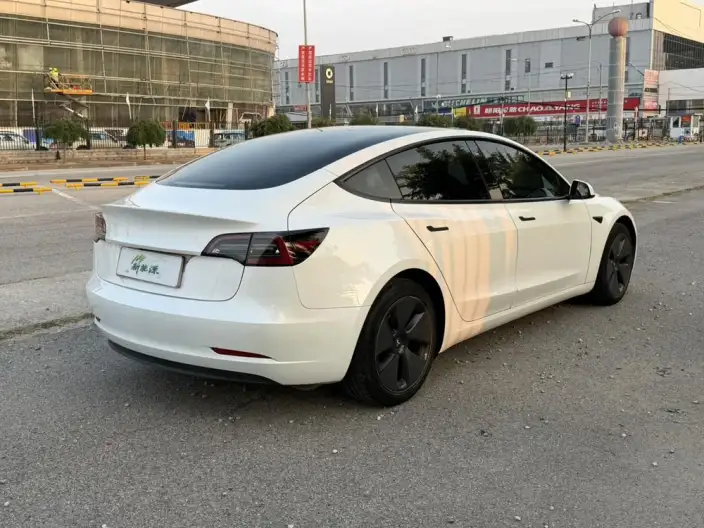 Model 3 2021 Model Standard Battery Life Rear Drive L Class Edition – фото 5