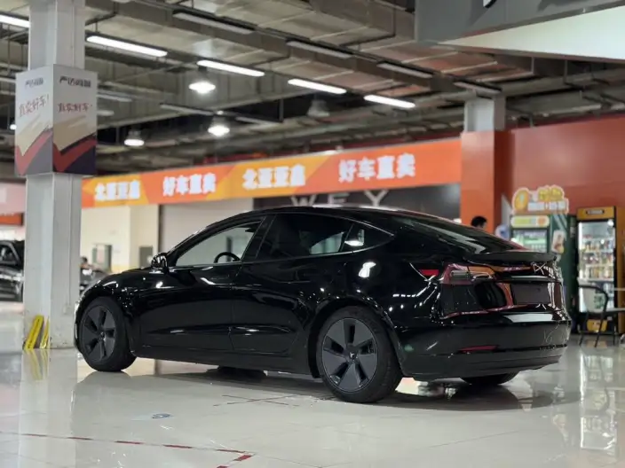 Model 3 2021 Model Standard Battery Life Rear Drive L Class Edition – фото 4