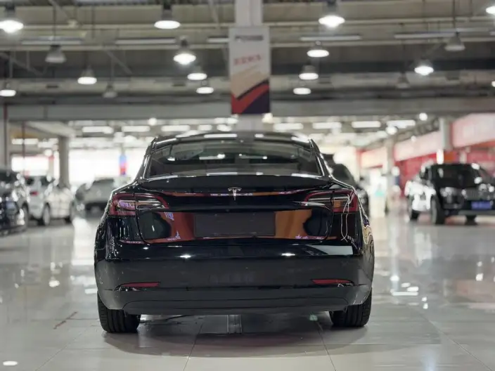 Model 3 2021 Model Standard Battery Life Rear Drive L Class Edition – фото 5