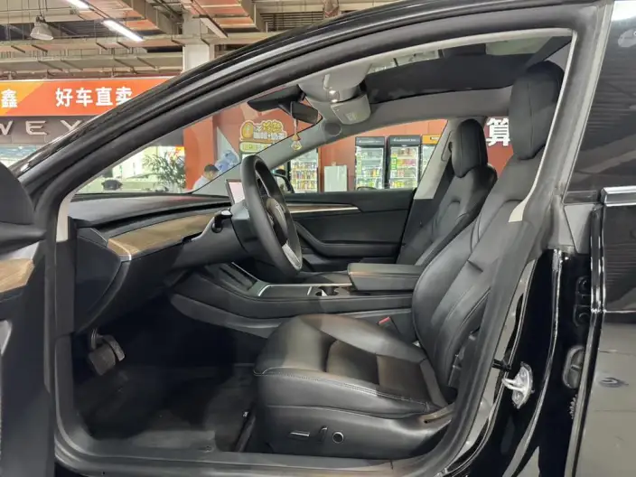 Model 3 2021 Model Standard Battery Life Rear Drive L Class Edition – фото 17