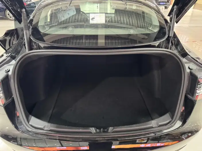 Model 3 2021 Model Standard Battery Life Rear Drive L Class Edition – фото 20