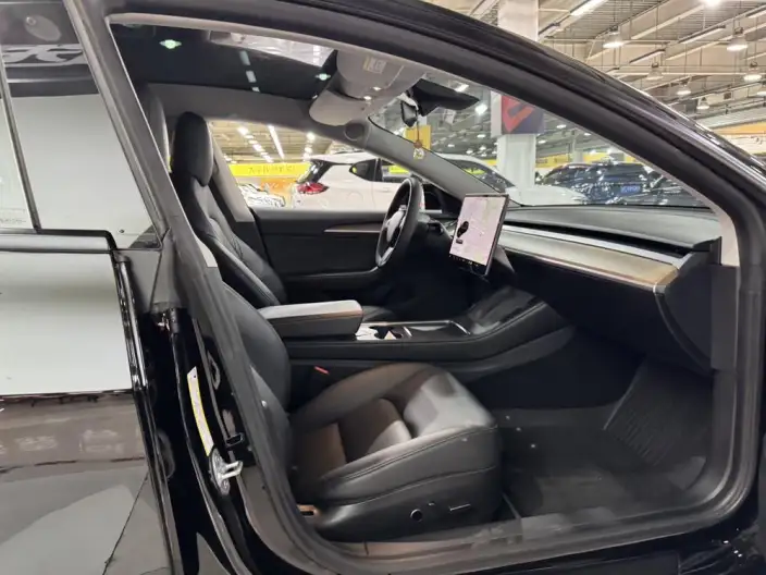 Model 3 2021 Model Standard Battery Life Rear Drive L Class Edition – фото 22