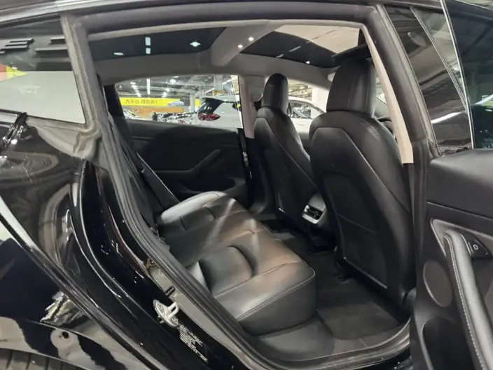 Model 3 2021 Model Standard Battery Life Rear Drive L Class Edition – фото 23