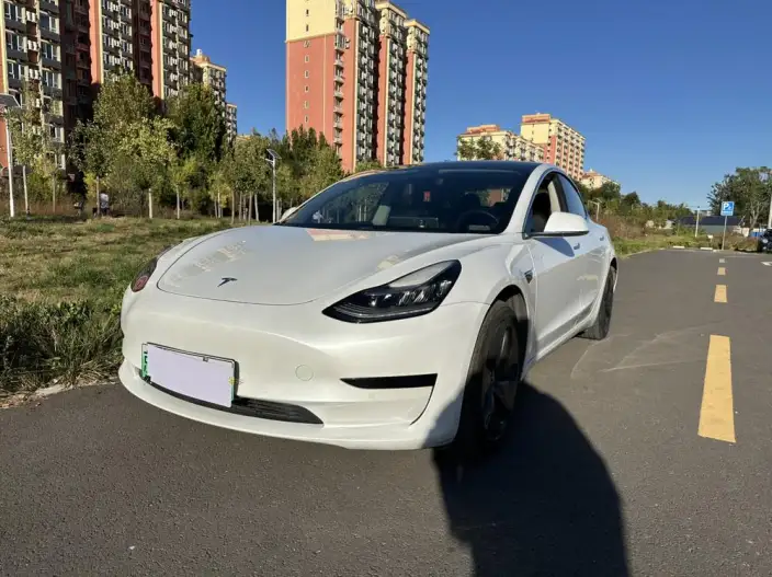 Model 3 2020 Model Standard Battery Life Rear Drive L Class Edition – фото 1