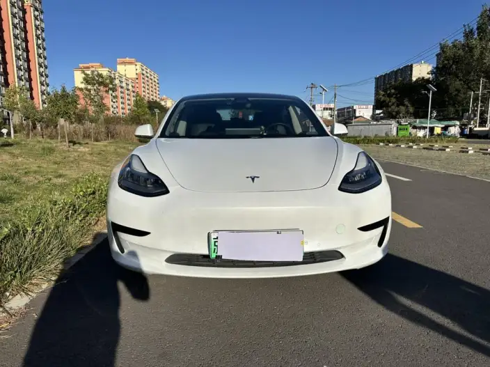 Model 3 2020 Model Standard Battery Life Rear Drive L Class Edition – фото 2