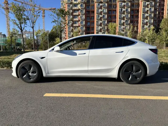 Model 3 2020 Model Standard Battery Life Rear Drive L Class Edition – фото 3