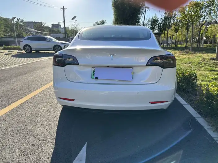 Model 3 2020 Model Standard Battery Life Rear Drive L Class Edition – фото 5
