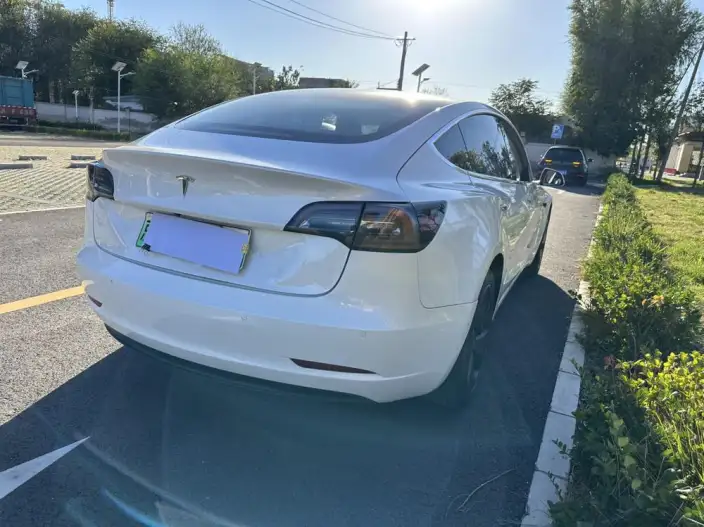 Model 3 2020 Model Standard Battery Life Rear Drive L Class Edition – фото 6