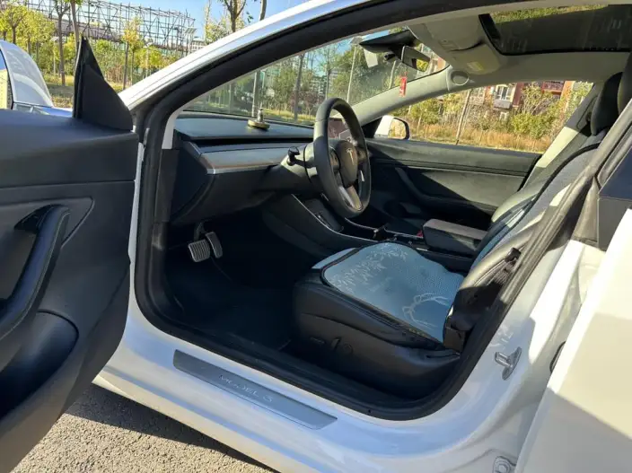 Model 3 2020 Model Standard Battery Life Rear Drive L Class Edition – фото 11