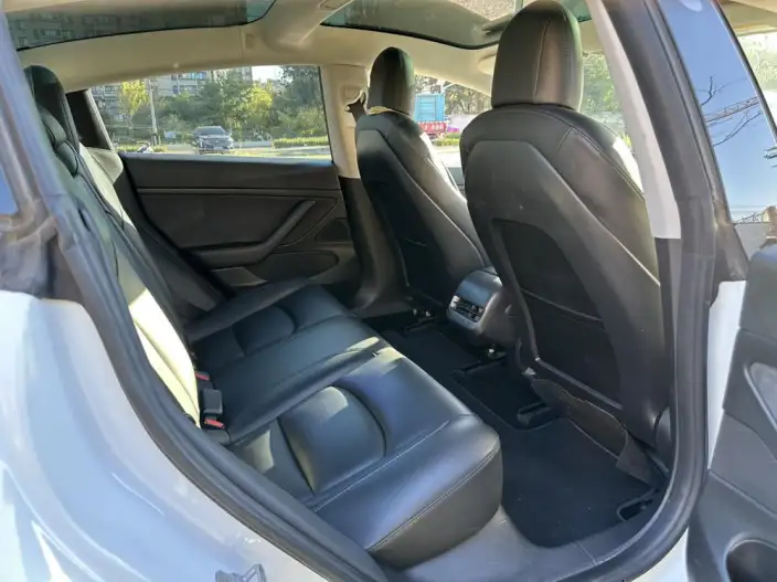 Model 3 2020 Model Standard Battery Life Rear Drive L Class Edition – фото 13