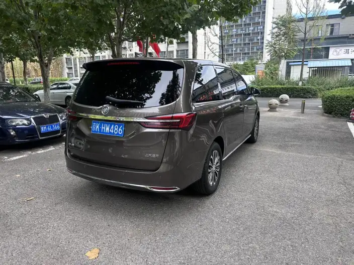 Buick GL8 2023 Model Business class 2.0T Luxury Model – фото 4