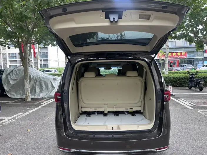 Buick GL8 2023 Model Business class 2.0T Luxury Model – фото 12