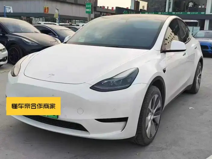 Model Y 2022 Model Rear-wheel drive version – фото 1