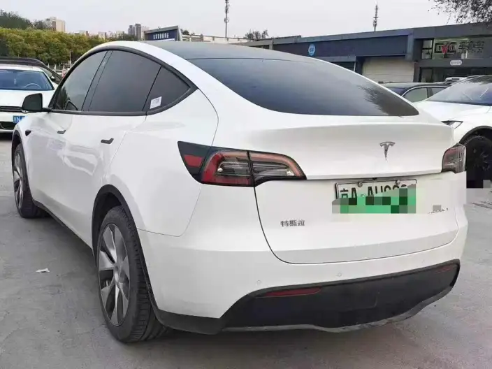 Model Y 2022 Model Rear-wheel drive version – фото 3