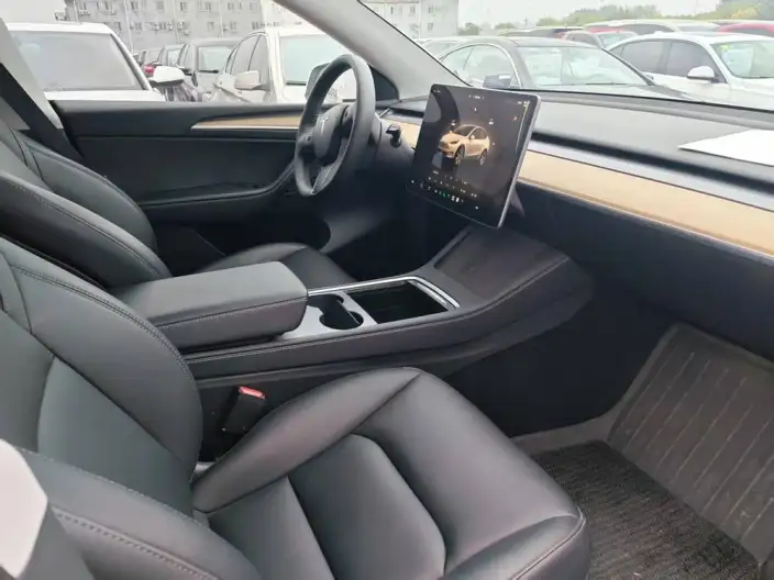 Model Y 2022 Model Rear-wheel drive version – фото 8