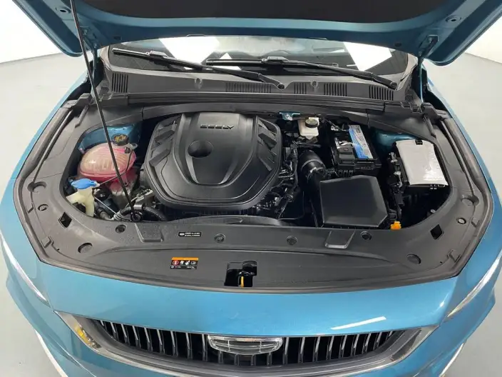 Geely StarRui 2020 Model 2.0T Flagship Model – фото 10