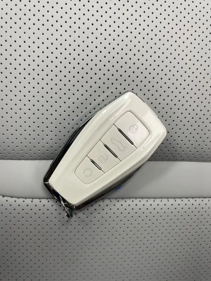 Geely StarRui 2020 Model 2.0T Flagship Model – фото 11