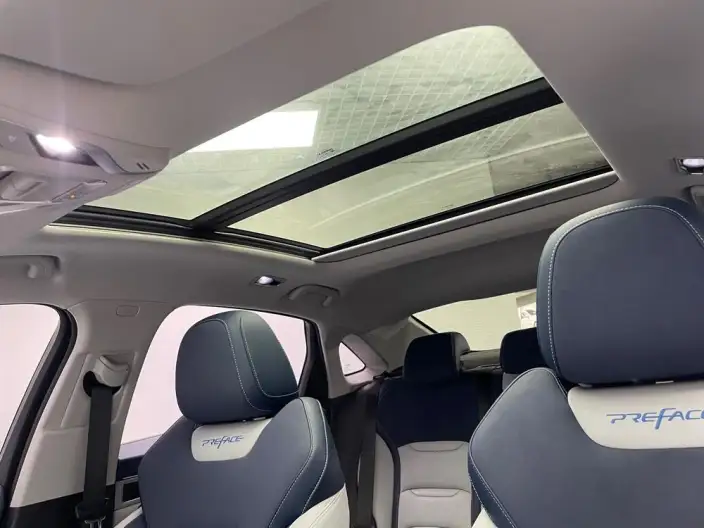 Geely StarRui 2020 Model 2.0T Flagship Model – фото 19