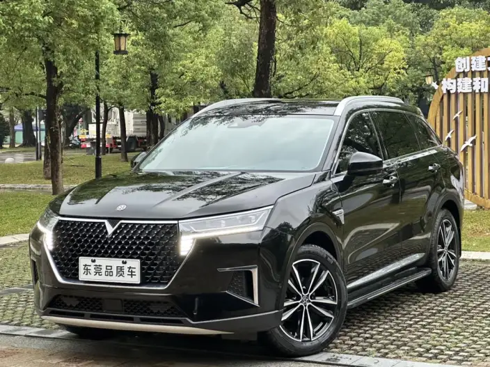 Qichen Star 2020 Model 260T 48V Mild Hybrid Boost Starlight Edition – фото 1