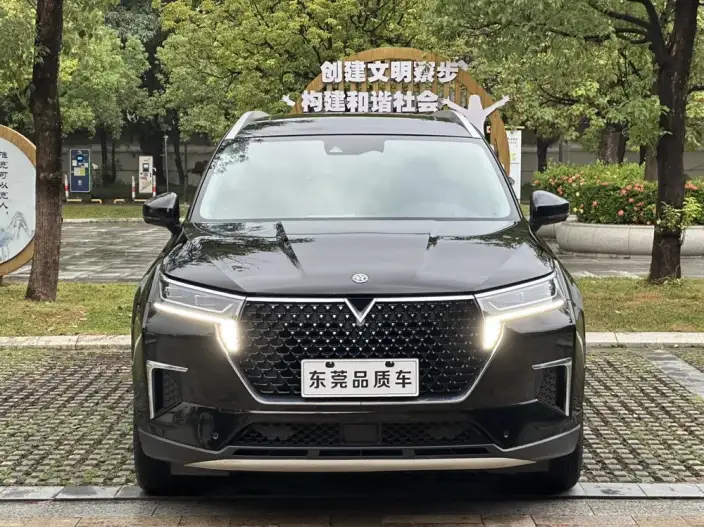 Qichen Star 2020 Model 260T 48V Mild Hybrid Boost Starlight Edition – фото 2