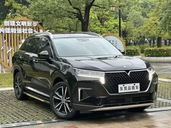 Qichen Star 2020 Model 260T 48V Mild Hybrid Boost Starlight Edition – фото 3