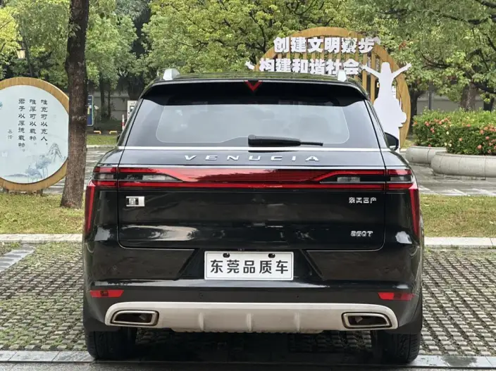 Qichen Star 2020 Model 260T 48V Mild Hybrid Boost Starlight Edition – фото 5