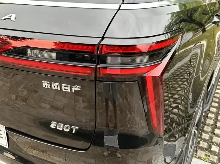 Qichen Star 2020 Model 260T 48V Mild Hybrid Boost Starlight Edition – фото 7