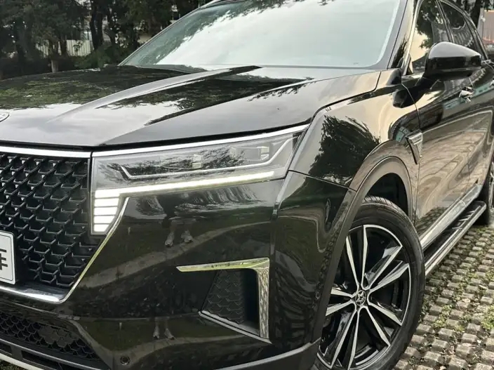 Qichen Star 2020 Model 260T 48V Mild Hybrid Boost Starlight Edition – фото 9