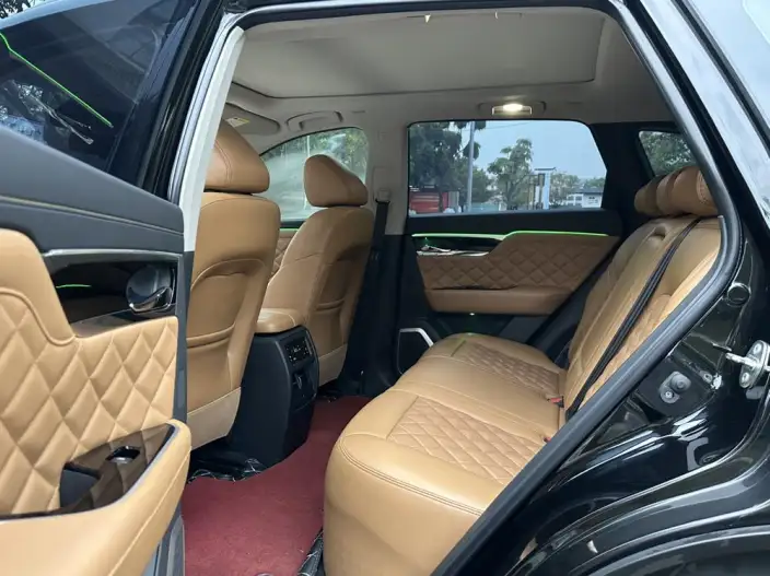 Qichen Star 2020 Model 260T 48V Mild Hybrid Boost Starlight Edition – фото 16