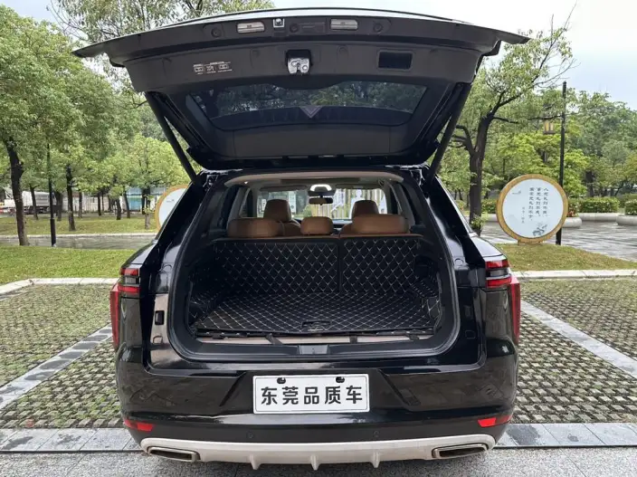 Qichen Star 2020 Model 260T 48V Mild Hybrid Boost Starlight Edition – фото 17