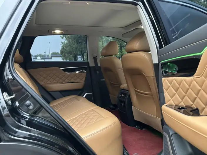 Qichen Star 2020 Model 260T 48V Mild Hybrid Boost Starlight Edition – фото 18