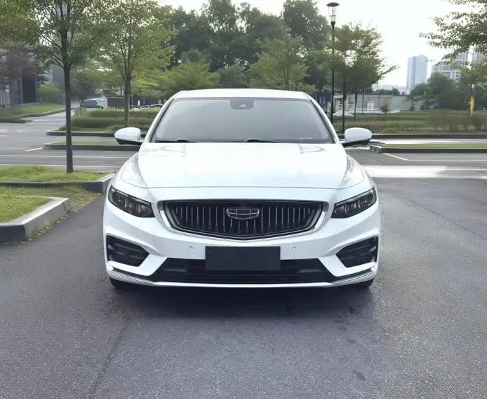 Geely StarRui 2020 Model 2.0T Elite Model – фото 2