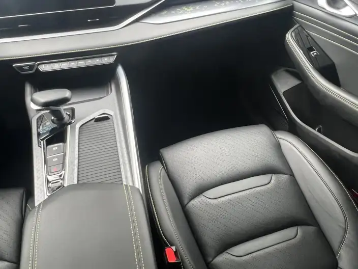 Geely StarRui 2020 Model 2.0T Elite Model – фото 10